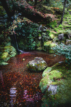 Autumnal leaves on the water, Autumn landscapeの写真素材