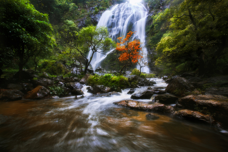 Waterfall in the autumnの写真素材