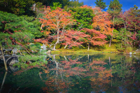 Autumn landscape, Japanの写真素材