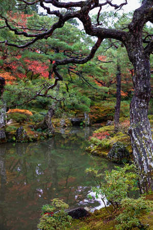 Autumn landscape, Japanの写真素材