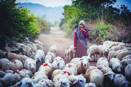 Female shepherd with little sheepの写真素材