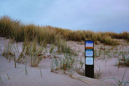 coastal duneの写真素材