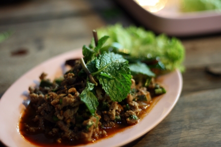 Lab  Mint duck Salad の写真素材