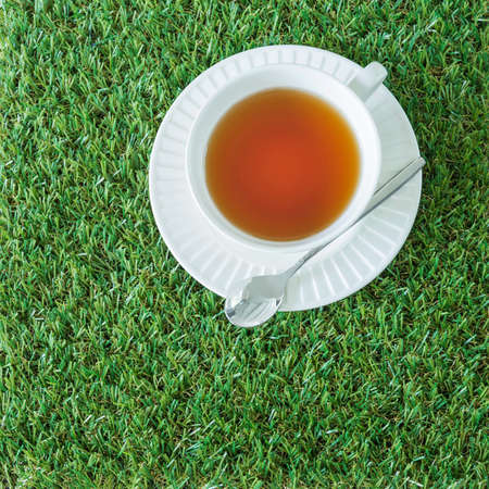 The white cup tea from top viewの写真素材