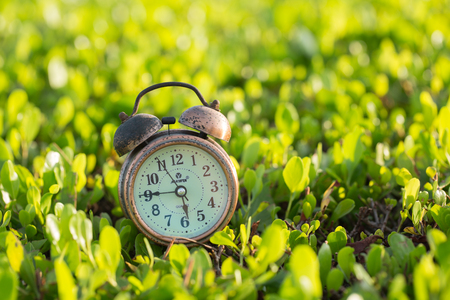 Vintage alarm clock,old clock on green leaf background