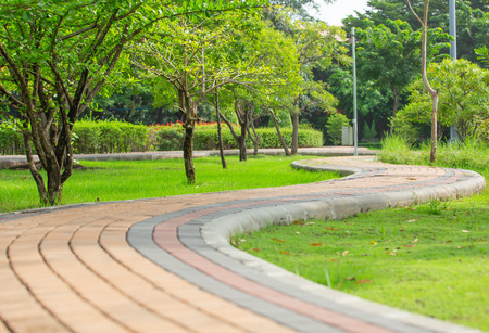 Winding path,walkway cuve on natural in public parkの写真素材