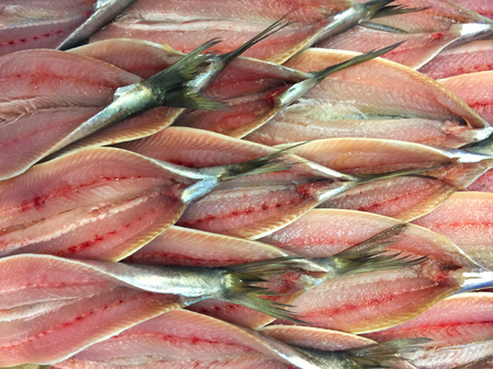 fresh cutted small tuna fish in the market