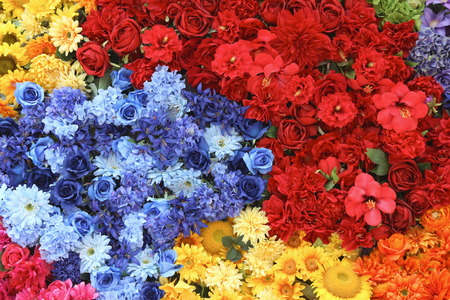 close up on Colorful flowers,best to use for background
