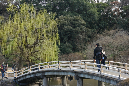 2017 MARCH 18. TOKYO JAPAN. A Japanese couple walking along the bridge among natural tree at SHINJUKU GYOEN national garden.のeditorial素材