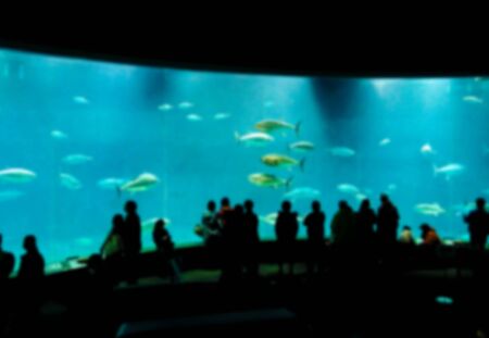 blurred backside of people watching Big tuna maguro at aquarium background.の写真素材