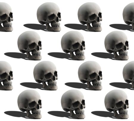 3d rendering. Seamless human head skull bone pattern on white background.の写真素材
