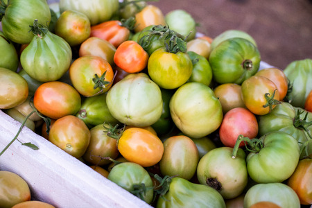 Mix Color tomatoes in a box for sale in Thailand Market.の写真素材