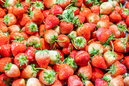 fresh red Strawberry on Fruit tray background in Night Market.の写真素材