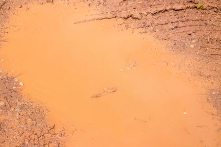 closeup mud texture background, after heavy rain.