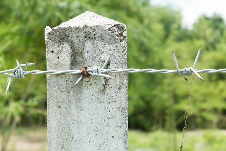 Barbed wire fenceの写真素材