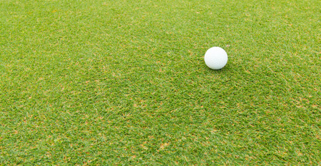 golf ball in fairwayの写真素材