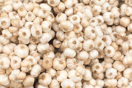 close up of garlic on market standの写真素材