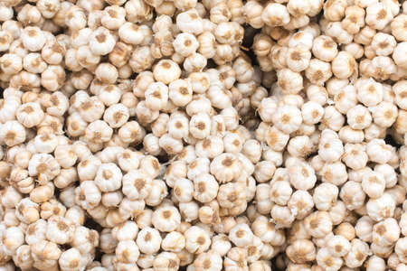 close up of garlic on market standの写真素材