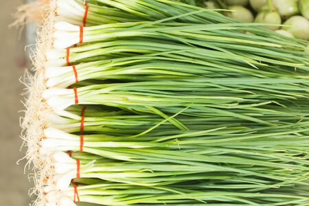 vegetable marketの写真素材