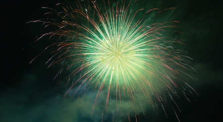 The fireworks display in black sky background to celebration
