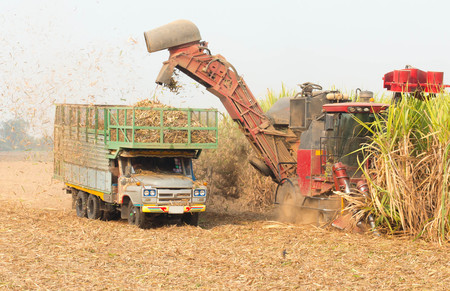 sugarcane harvester, four-wheel tractorの写真素材