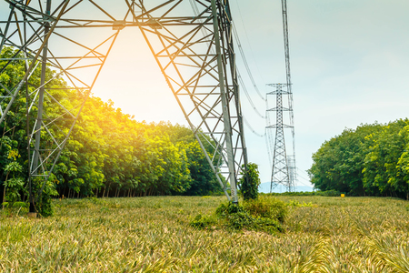 Electricity pylons and power lines, at sunsetの写真素材