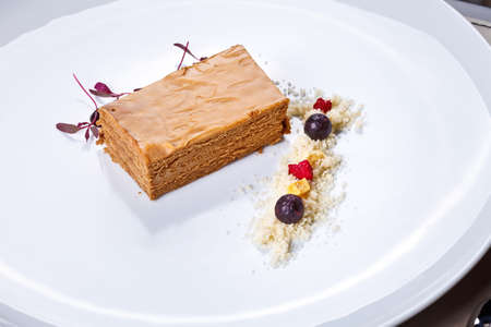 Vanilla ice cream with strawberries and berries dipped in red fruit juice garnished with mint leafの写真素材