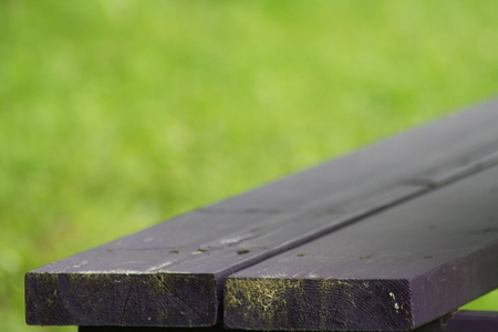 Benches and tables at the lavender fieldの写真素材