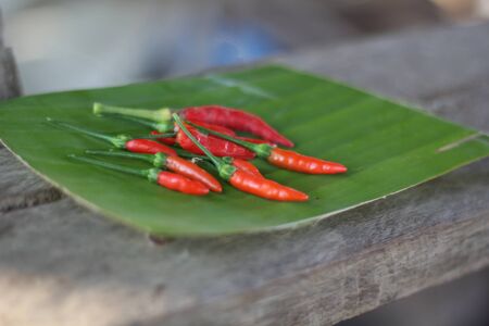 pepperの写真素材
