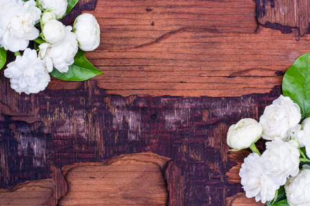 Jasmine White on the wooden floor.の写真素材