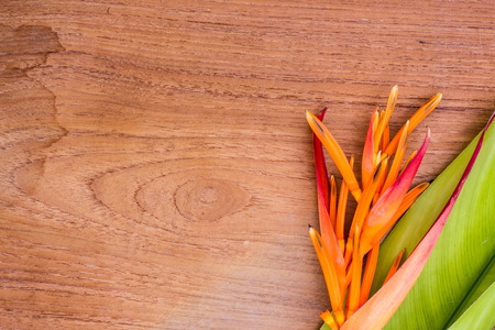Heliconias flower on a wooden background.の写真素材