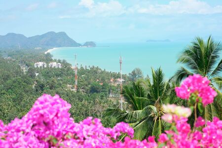 Pink bougainvillea flower Bright bloom in the sun,Selective focusの写真素材