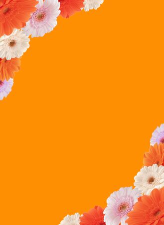 Beauty  flowers frame isolated orange backgroundの写真素材