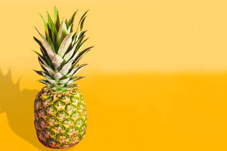 Beautiful pineapple isolated on bright pastel orange yellow background