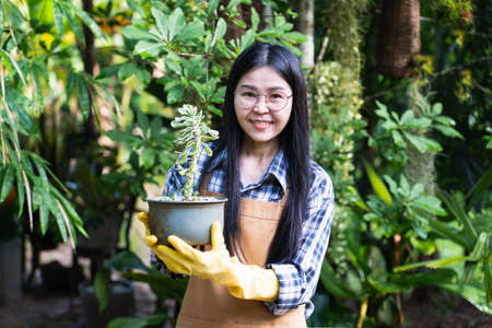 Selective focus Beautiful young asian gardener holding a tree in a pot,smiling and looking at camera.Owner of an outdoor garden supplies and plants store.Nature and ecology themeの写真素材