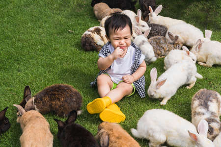 Asian cute boy sucking fingers and crying on the lawn among the surrounding rabbitsの写真素材