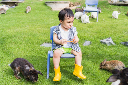 Asian cute boy Happy sitting in a chair among the bunnies.の写真素材