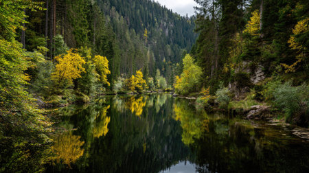 A tranquil river meanders through a lush forest, showcasing vibrant autumn trees and their stunning reflections. Ideal for nature lovers and outdoor enthusiasts.の素材