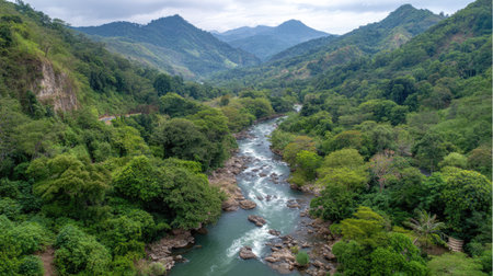 Experience the beauty of nature with this stunning aerial view of a river flowing through a verdant valley, framed by towering mountains and lush forests.の素材