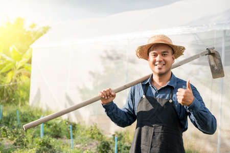 Young farmer showing thumb up and standing beside organic vegetables growing hydroponic farm. Small business, Organic farming  conceptの写真素材