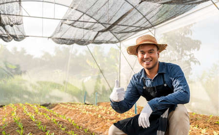 Young farmer showing thumb up in organic vegetables growing hydroponic farm. Small business, Organic farming  conceptの写真素材
