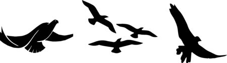 bird icon on white backgroundのイラスト素材