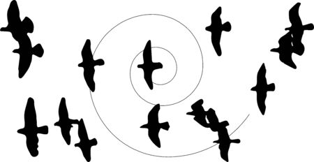 bird icon on white backgroundのイラスト素材