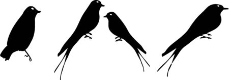 bird icon on white backgroundのイラスト素材