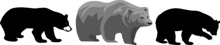 bear icon on white backgroundのイラスト素材