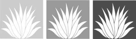 aloe vera icon on white backgroundのイラスト素材