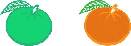 orange icon on white backgroundのイラスト素材