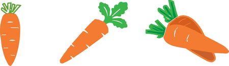 carrot icon isolated on white backgroundのイラスト素材