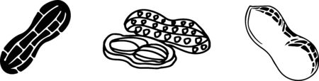 peanut icon isolated on white backgroundのイラスト素材
