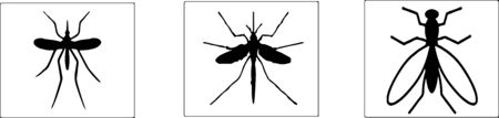 mosquito icon isolated on backgroundのイラスト素材
